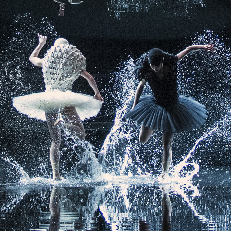 A_SWAN_LAKE_Foto_Erik_Berg_01